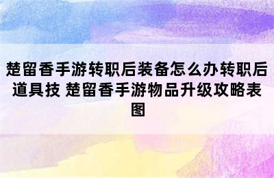 楚留香手游转职后装备怎么办转职后道具技 楚留香手游物品升级攻略表图